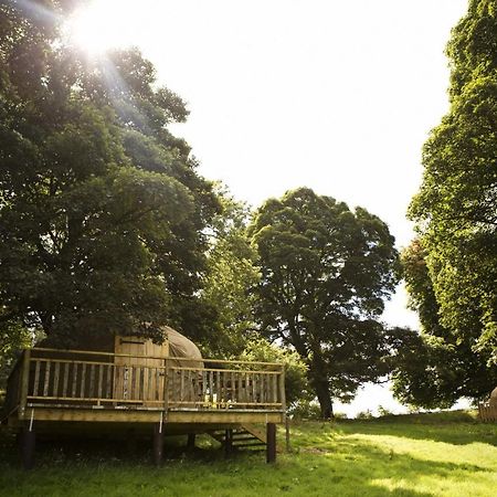 Rock Farm Slane - Glamping Hotel Kültér fotó
