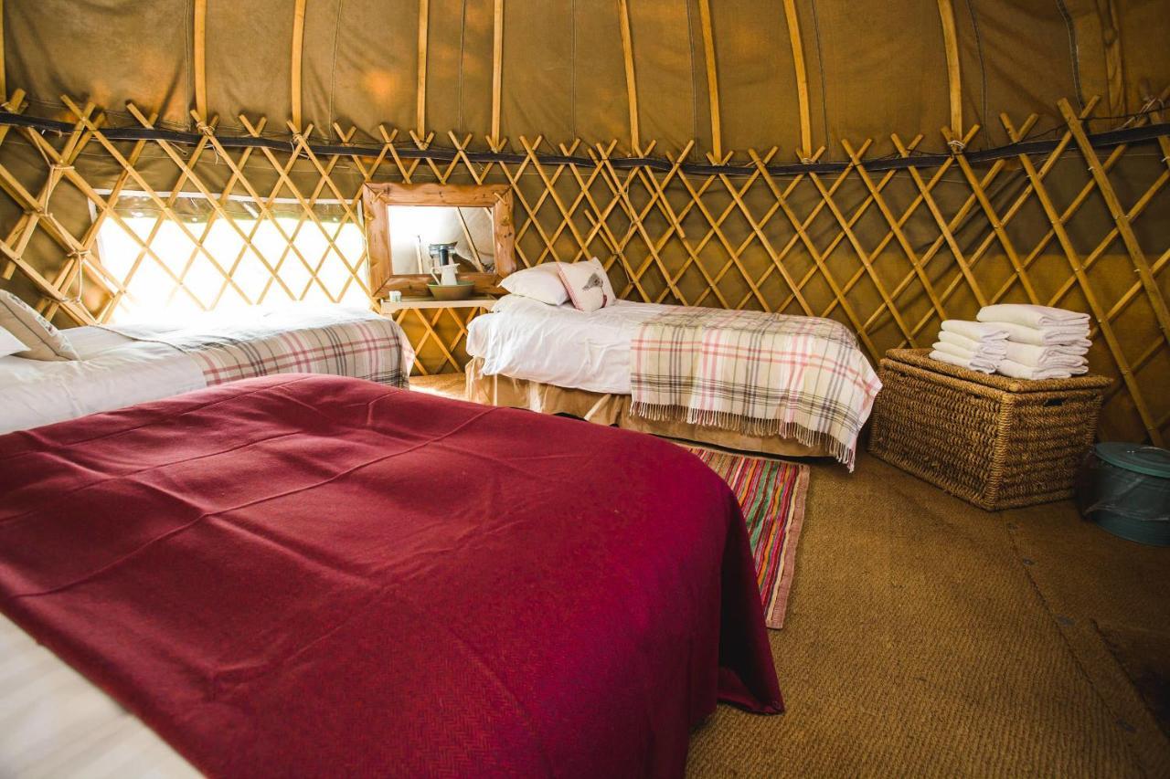 Rock Farm Slane - Glamping Hotel Szoba fotó